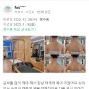 요가스트레칭 이미지