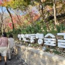아차산 동행숲길 | 자연 속 힐링 산책로! 서울둘레길 5코스 아차산과 아차산동행숲길