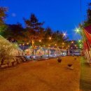 그날카라반 | 감성 터지는 조용한 포천 글램핑 포천 우리 글램핑카라반 또간 내돈내산후기