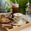 카페모나 이미지