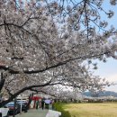 한동그린 이미지