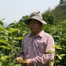 하늘내린농장 이미지