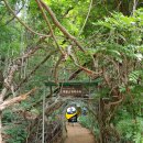 대궐고개 약수터 이미지