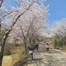 대가면사무소 이미지