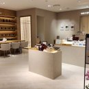 현대한약국 | 비울레티 바라기 한약국 현대백화점 천호점 붓기가 고민이라면