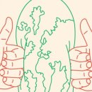 ‘좋아요’는 어떻게 지구를 파괴하는가 이미지