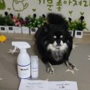 개깔끔 네이버블로그