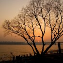 강가에서 이미지