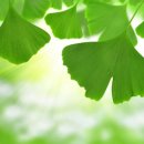 새빛약국 이미지