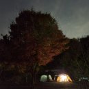해바비 | 다섯번째 캠핑) 세종 해바비캠핑장