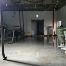 와이디에스 이미지