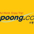 비에프앤씨