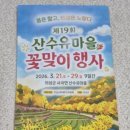 바람길소공원 | 의성 산수유마을 꽃맞이 행사 제19회 일정 주차 후기 총정리 (2026 봄축제)