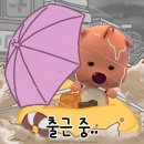 타코이야기 네이버블로그