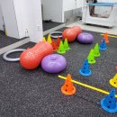 석 동물병원 이미지