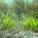 한국수산자원관리공단 이미지