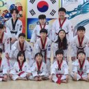 용인대 미르 태권도 이미지