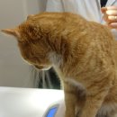 중동 우리아이 동물병원 이미지