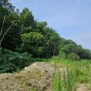 길상면-9 이미지