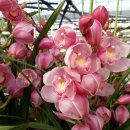 고교농장 이미지