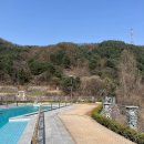 우다다애견 이미지