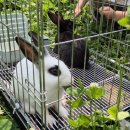 사랑몬테소리어린이집 이미지