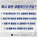 젠틀레이디