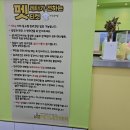 애견카페 애견유치원 펫레터 이미지