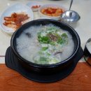 춘천 순대국 맛집 후평동 '다우리순대국' 존맛탱