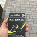 수내시립테니스장 이미지