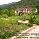 (주)플로시스 Daum카페