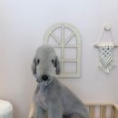 소담교차로 이미지