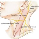 동행의원 이미지