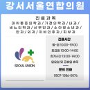 새서울연합의원 | 강서서울연합의원 위치, 후기, 진료시간, 논란 이유, 인스타 주소