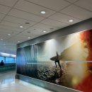 바름카서비스 | 뉴질랜드 여행기 1편 - Slow Life 🐢 푸타루루 Putaruru Blue Spring, 와이헤케 섬 와이너리 투어