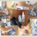 건강의향기 이미지