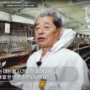 감먹은 토끼 이미지