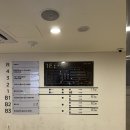 동탄 기흥아쿠아랜드 수족관카페 내돈내산후기
