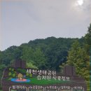 신기세천 이미지