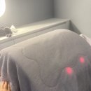 아이플렉스오피스텔1 | 운정에스테틱 등관리 바디관리 잘하는 익스테틱 추천