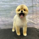 븜프그루밍 이미지