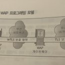 암 터킹어바웃 WAP 웻 에스 푸시 이미지