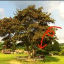 오하농장 이미지