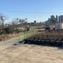 응골농장 이미지