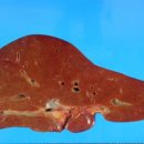 장기시장 이미지