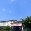 주왕산삼계탕 체인본점 | [부산/강서구]명지 주왕산삼계탕 본점에서 몸보신 삼계탕 한그릇 후기