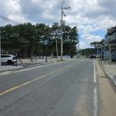 성심컨설팅공인중개사사무소 이미지