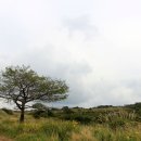 정영상회