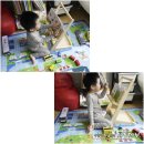유아매트 로보카폴리 도로매트 이렇게 좋아하다니!