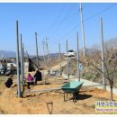 태산농장2 이미지